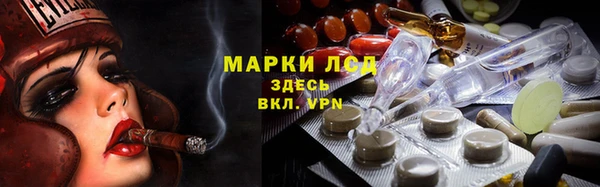 стафф Михайлов