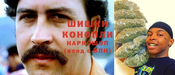 тгк Верея