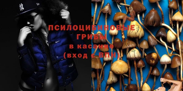 тгк Верея